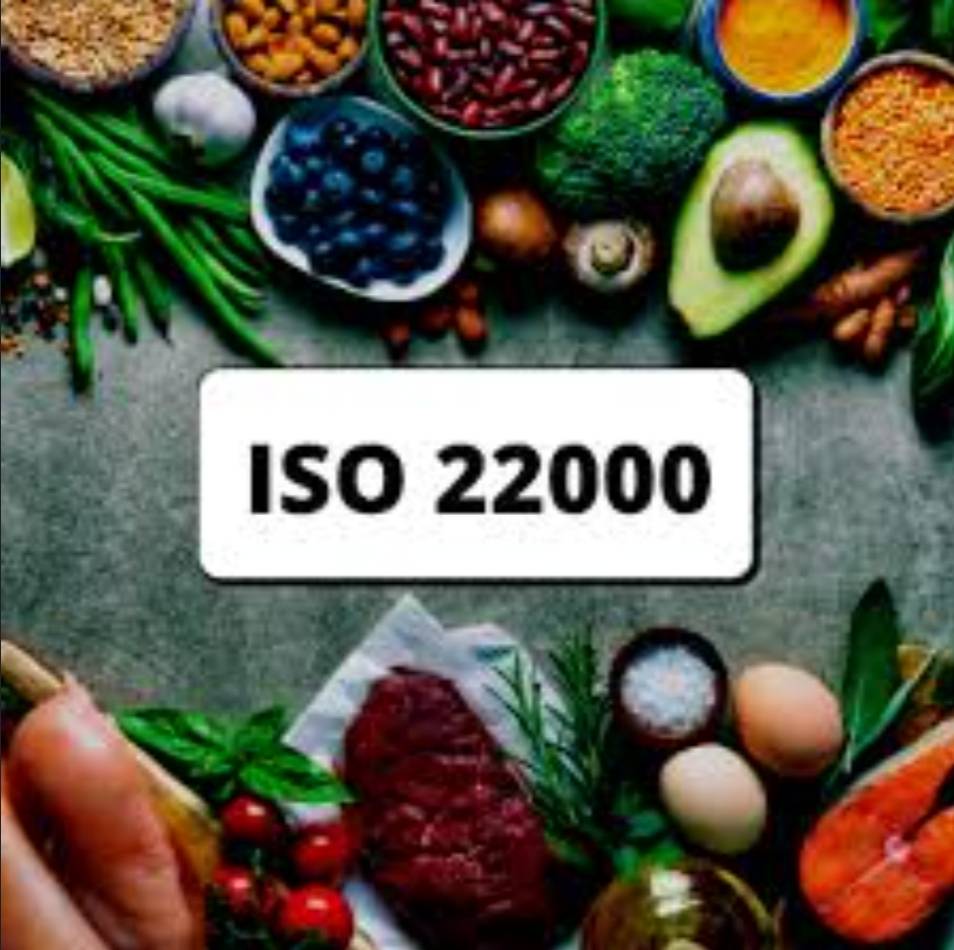 اهمیت به‌روزرسانی و بازنگری مستمر در ایزو 22000