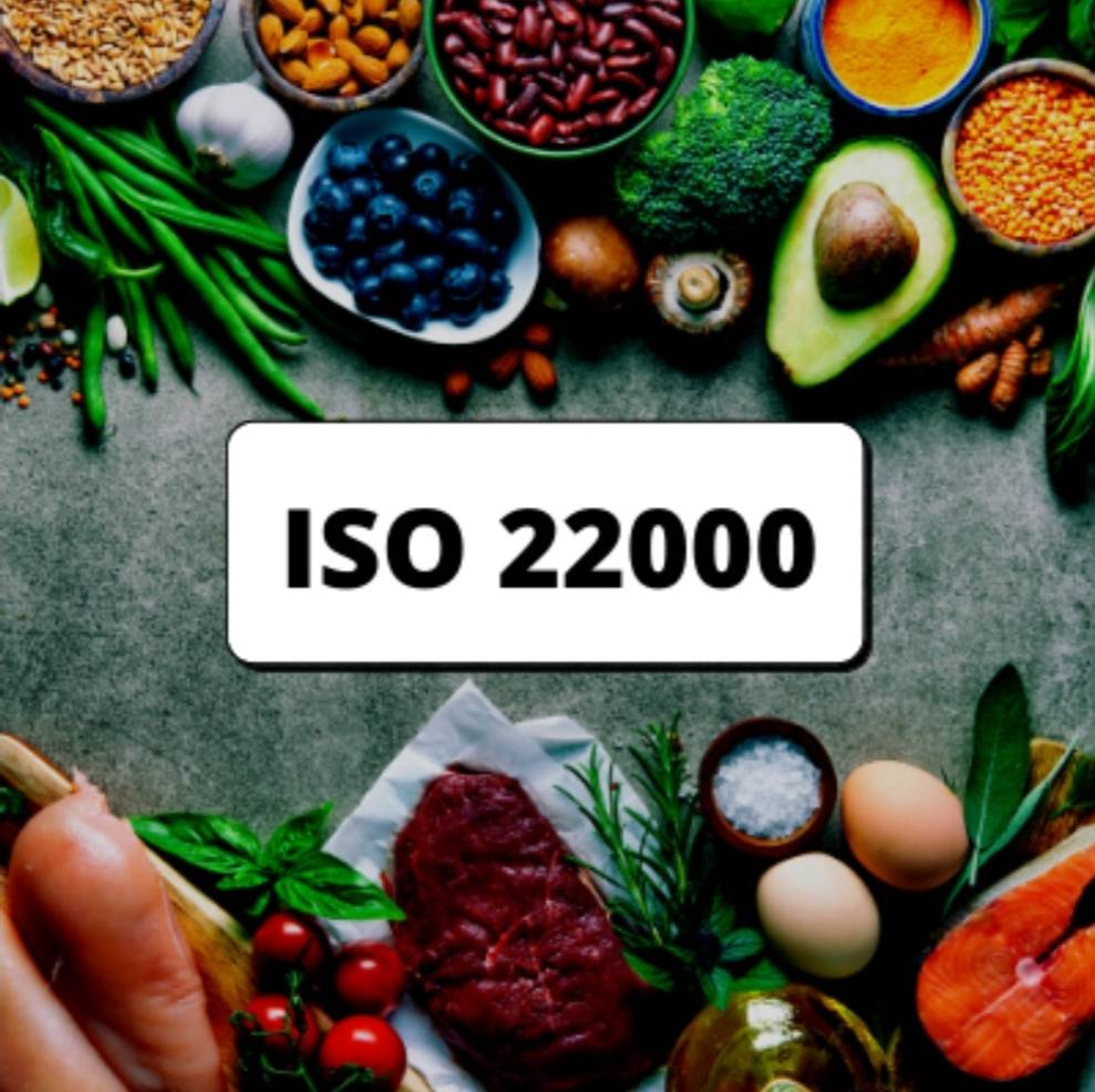راهنمای عملی برای تحلیل خطر و کنترل نقاط بحرانی در ایزو 22000