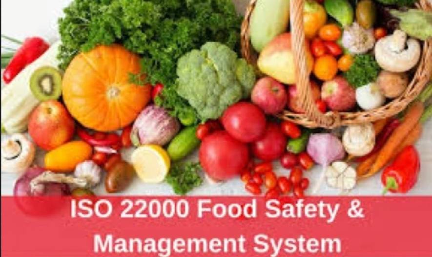 چگونه از مستندسازی صحیح در اجرای ایزو 22000 اطمینان حاصل کنیم؟
