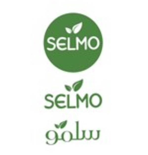 استقرار و پیاده سازی استانداردهای ایزو در شرکت سروش آذین آریا